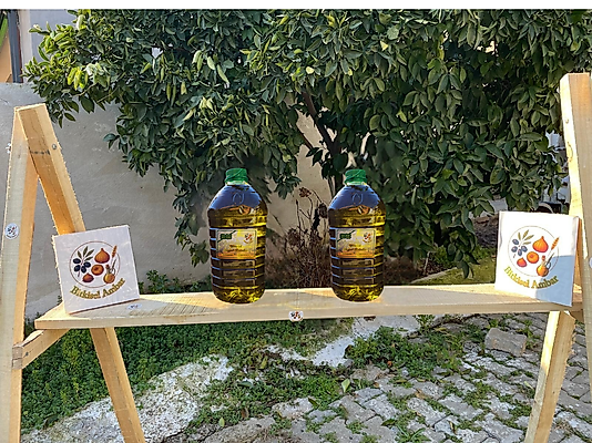 Erken Hasat Natürel Sızma Zeytinyağı ( 10 litre )