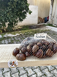 Kebap Kestane ( 1 kg )